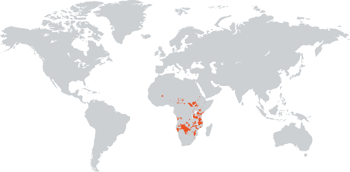 afrikai_elefant_map.png