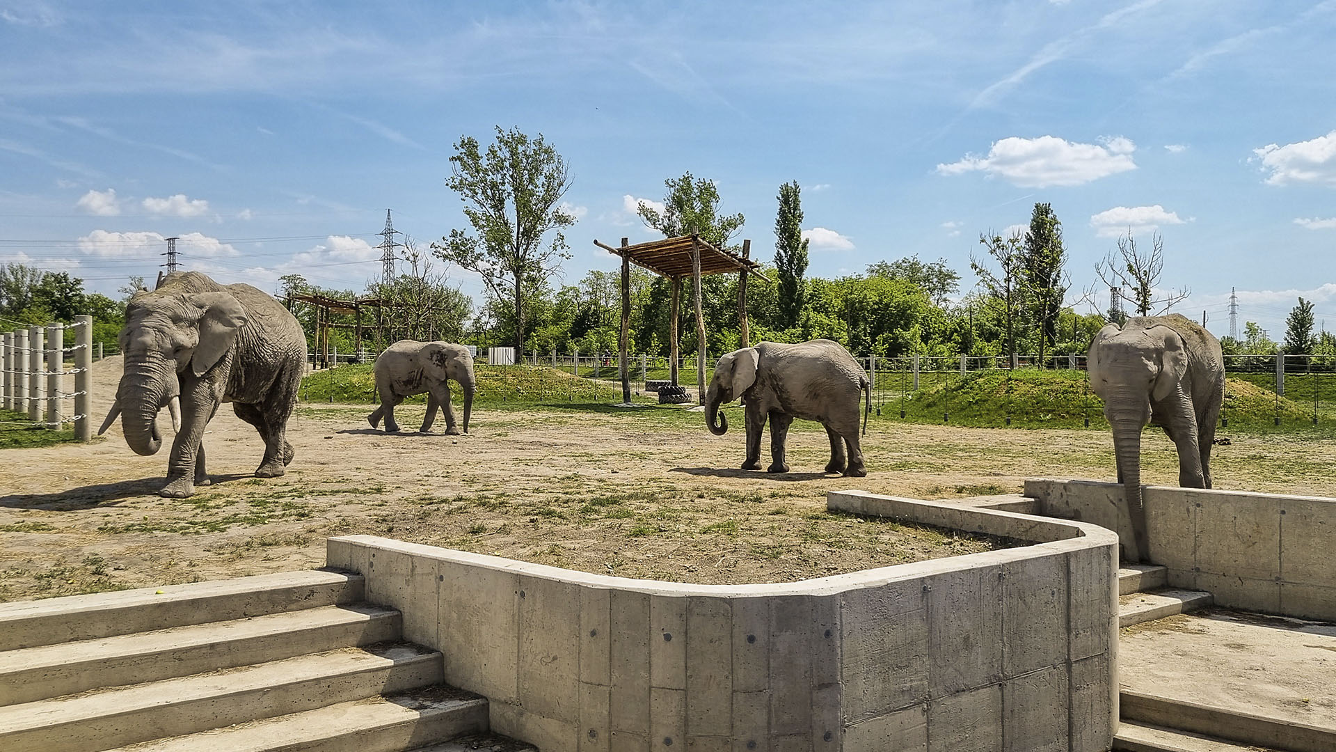 gyori_allatkert_afrikai_elefant_4.jpg gyori_allatkert_afrikai_elefant_4.jpg
