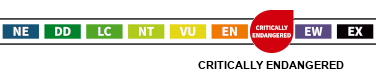 status_veszelyeztetett_en.png status_veszelyeztetett_en.png