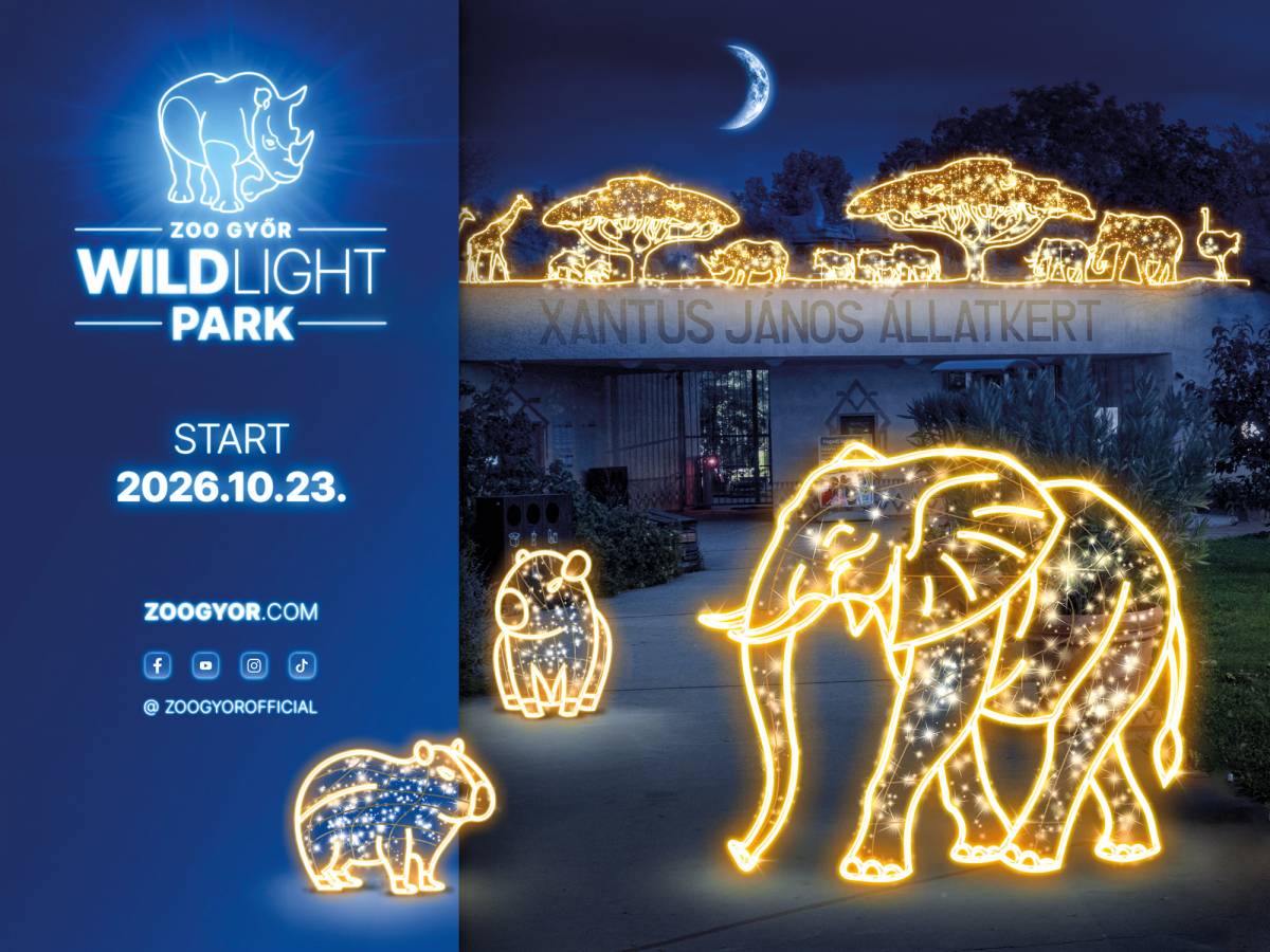 Idén is vár a WildLight Park a Győri Állatkertben Idén is vár a WildLight Park a Győri Állatkertben