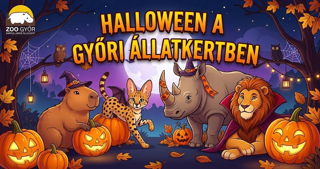Haromnapos Halloween a Győri Állatkertben Haromnapos Halloween a Győri Állatkertben