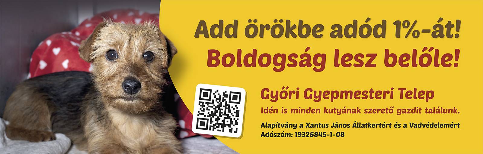 gyorigyepi_1szazalek.jpg gyorigyepi_1szazalek.jpg