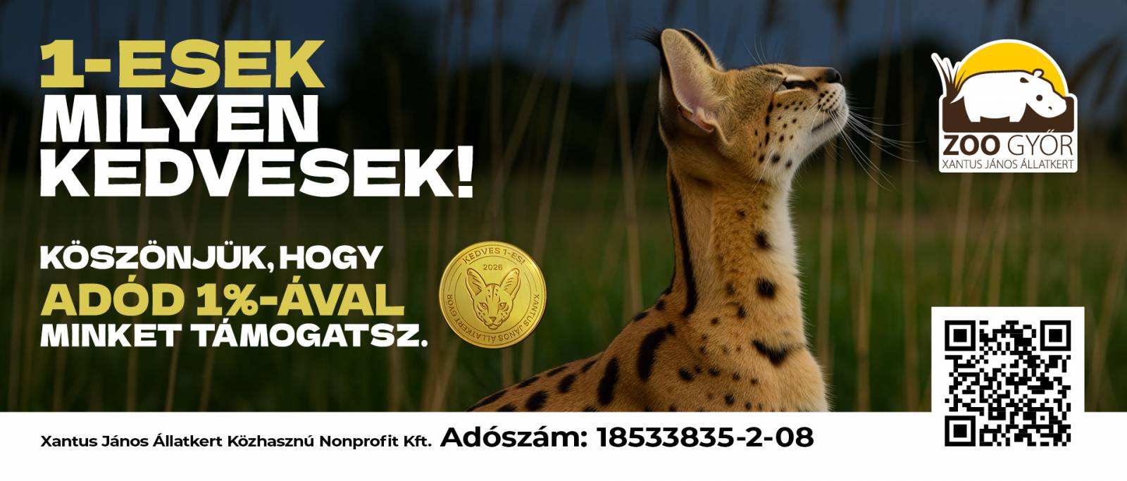 Gyertek támogatói napunkra