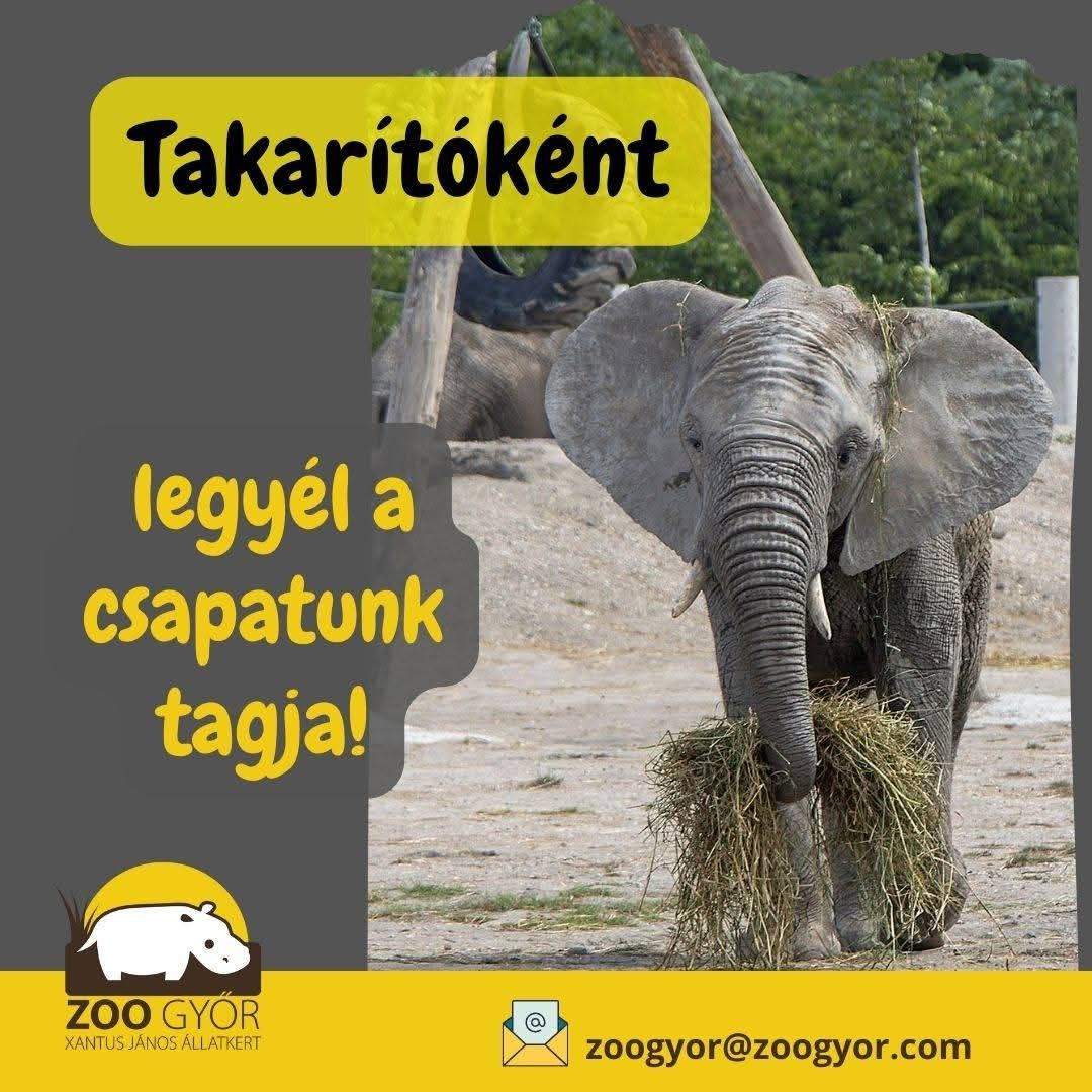 Takarító munkatársat keresünk Takarító munkatársat keresünk
